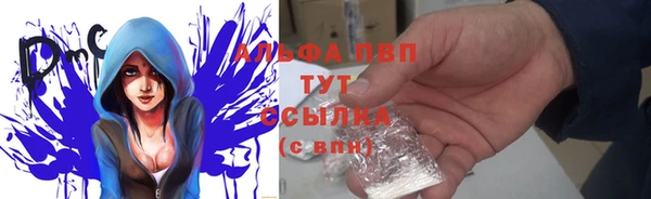 крисы Алзамай