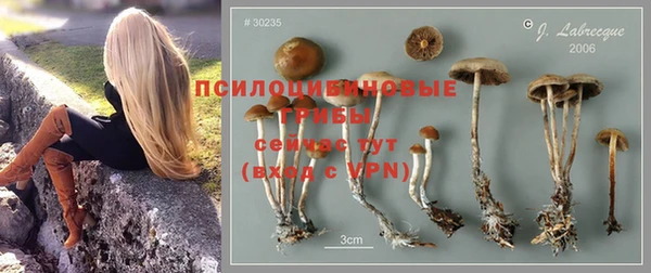 скорость Алексеевка