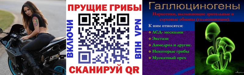 Псилоцибиновые грибы ЛСД  omg как зайти  Тобольск 